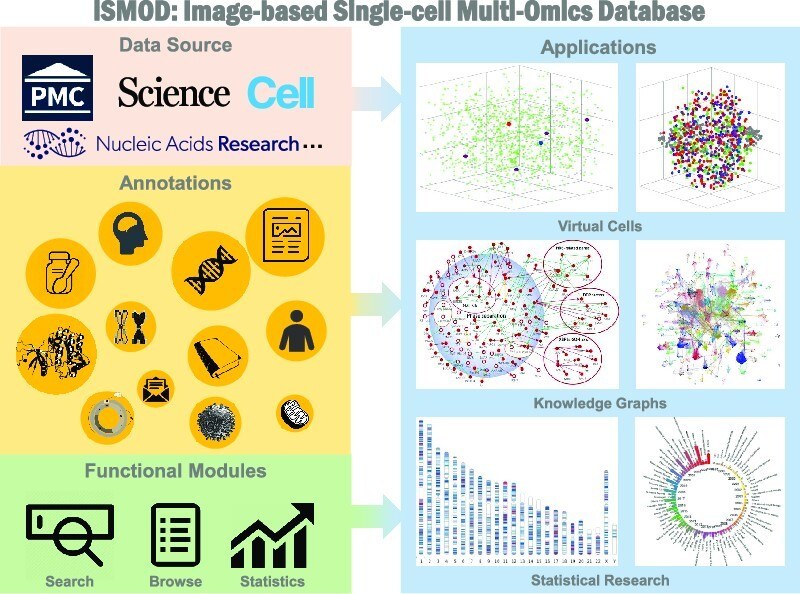 iSMOD graphical abstract